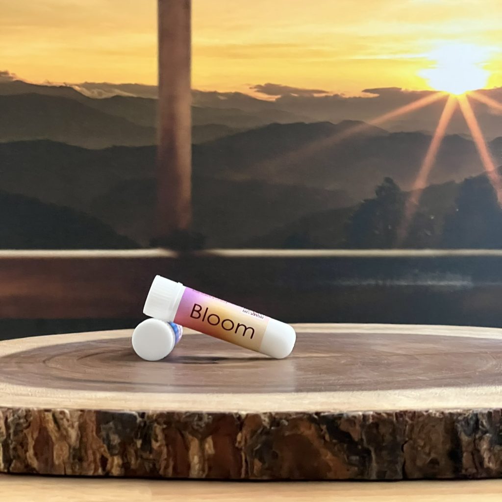 Bloom-Product-Photo-01